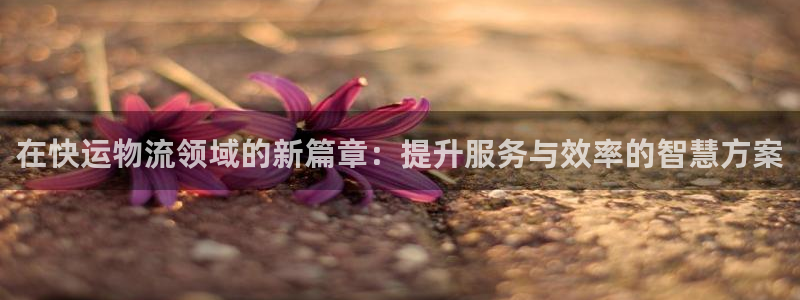 TP钱包切换账号步骤：在快运物流领域