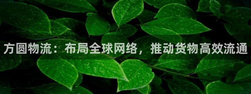 tp钱包换手机了