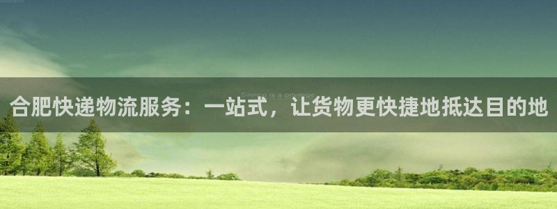 tp钱包下载完打不开：合肥快递物流服