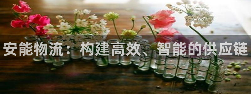 tp钱包 买币：安能物流：构建高效、