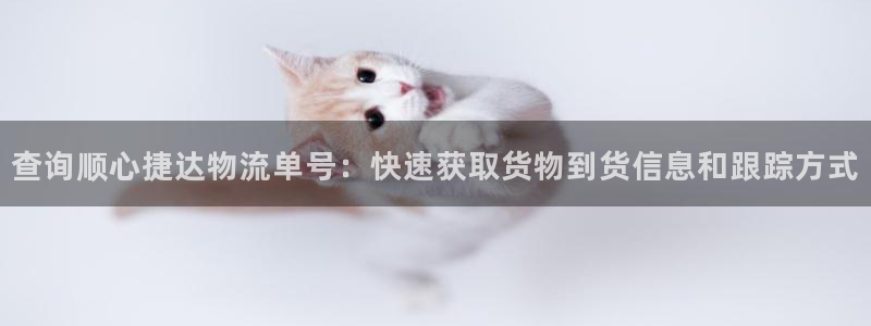 tp钱包下载打不开网页：查询顺心捷达