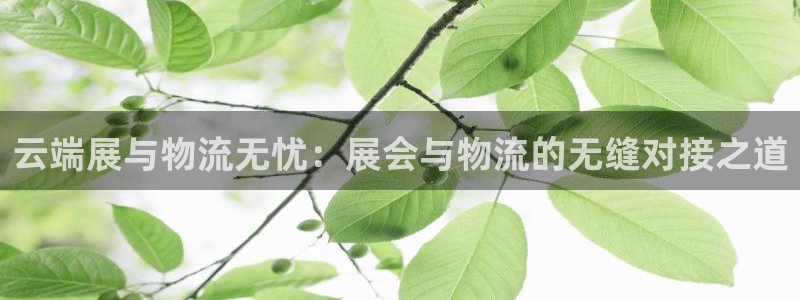 TPTP下载
