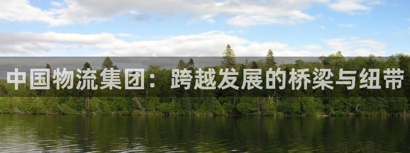 tp钱包和im钱包哪个安全：中国物流