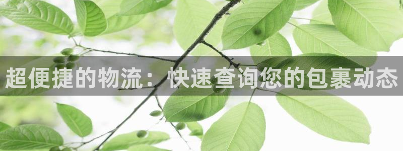 TP钱包下载入口：超便捷的物流：快速