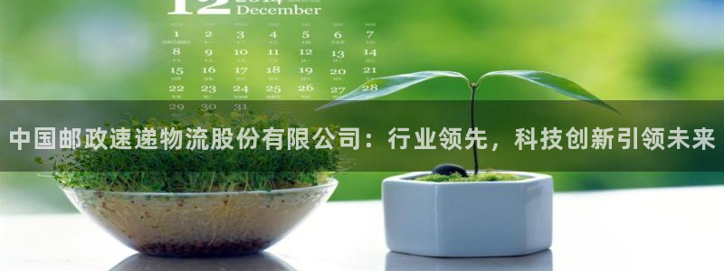 钱包 tp：中国邮政速递物流股份有限