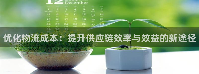 tp钱包太坑了：优化物流成本：提升供