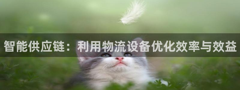 tp钱包账号几位数组成