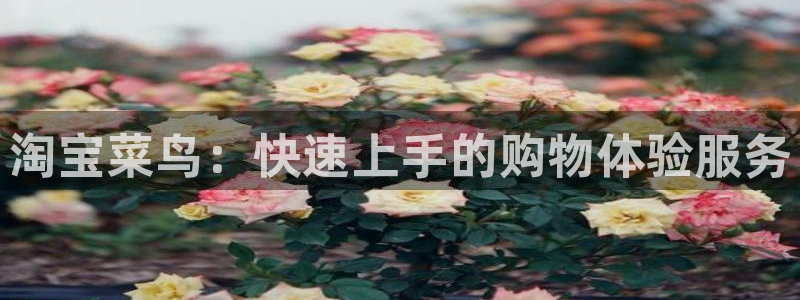 tp钱包浏览器插件：淘宝菜鸟：快速上