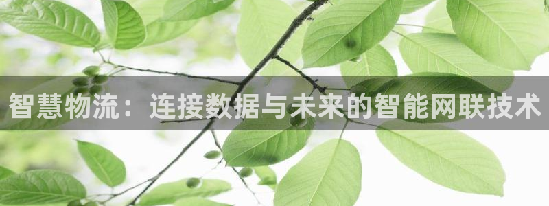 TP钱包二维码被盗u怎么办：智慧物流