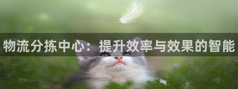 tp钱包官网下载sdykcc：物流分