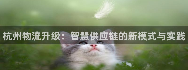 tp官方下载安卓最新版本2025：杭