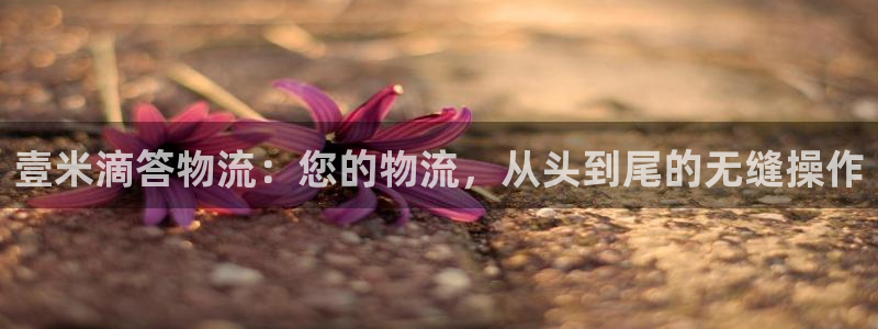 tp钱包官网下载中文版