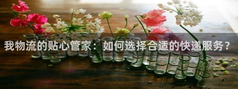 tp钱包操作视频在哪里看
