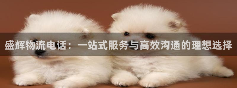 tptp下载方法